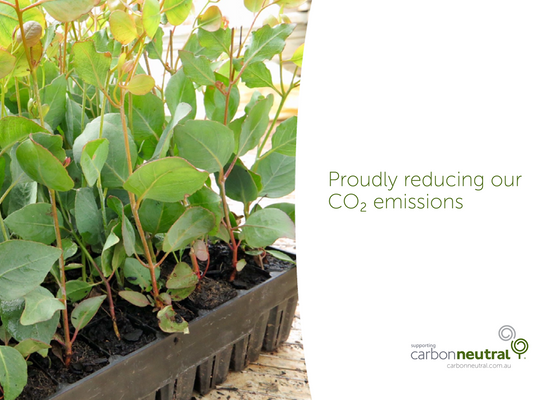 A Brief Update from Carbon Neutral